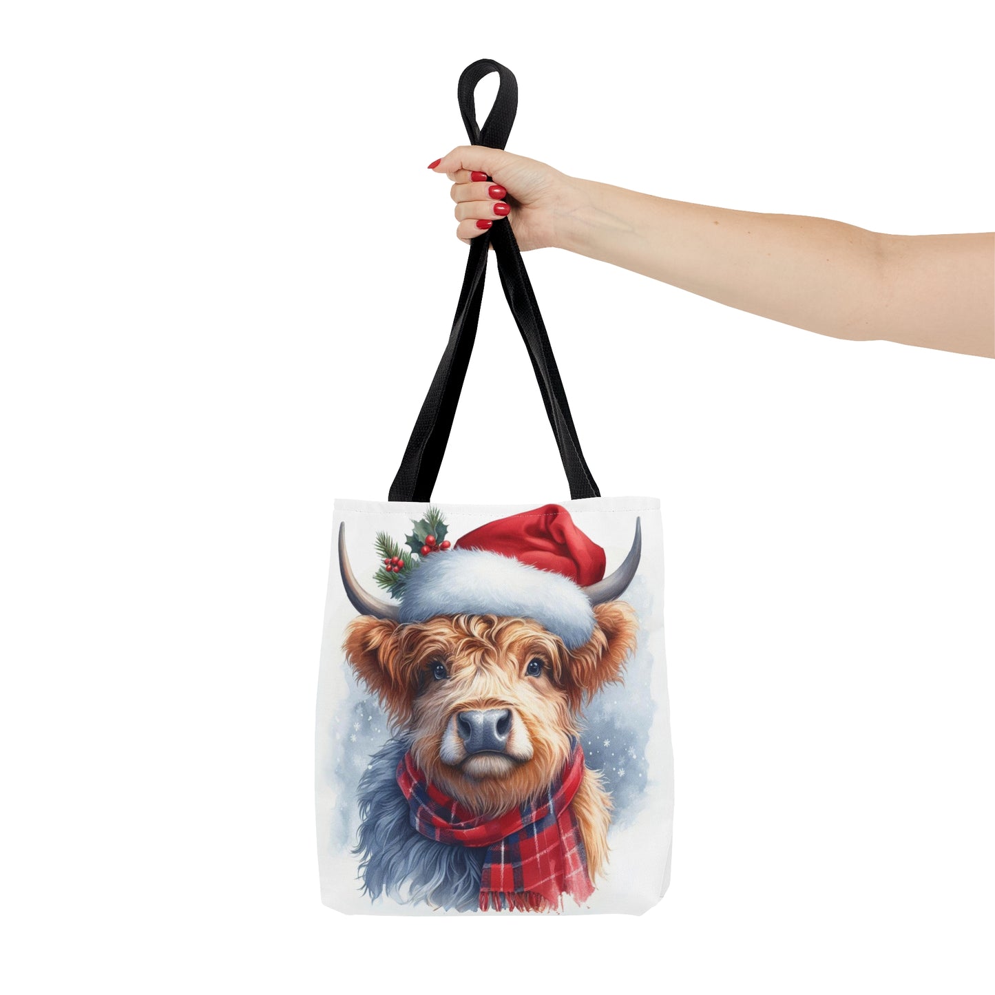 Christmas bag