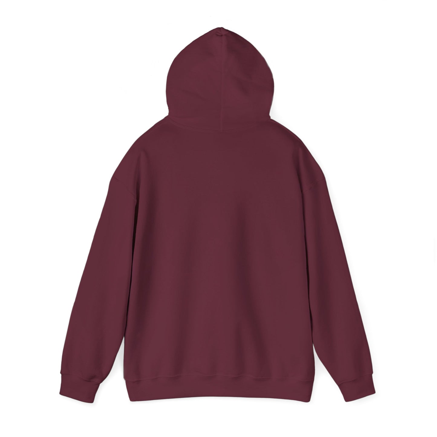 Raccoon Cauldron Halloween Hoodie