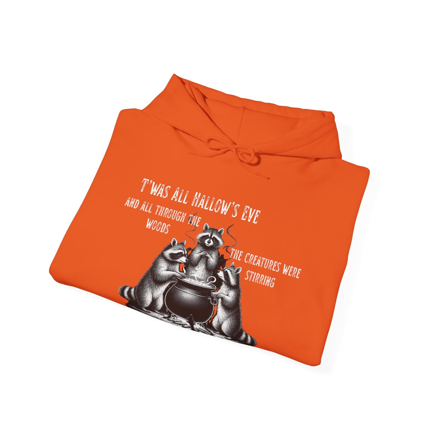 Raccoon Cauldron Halloween Hoodie