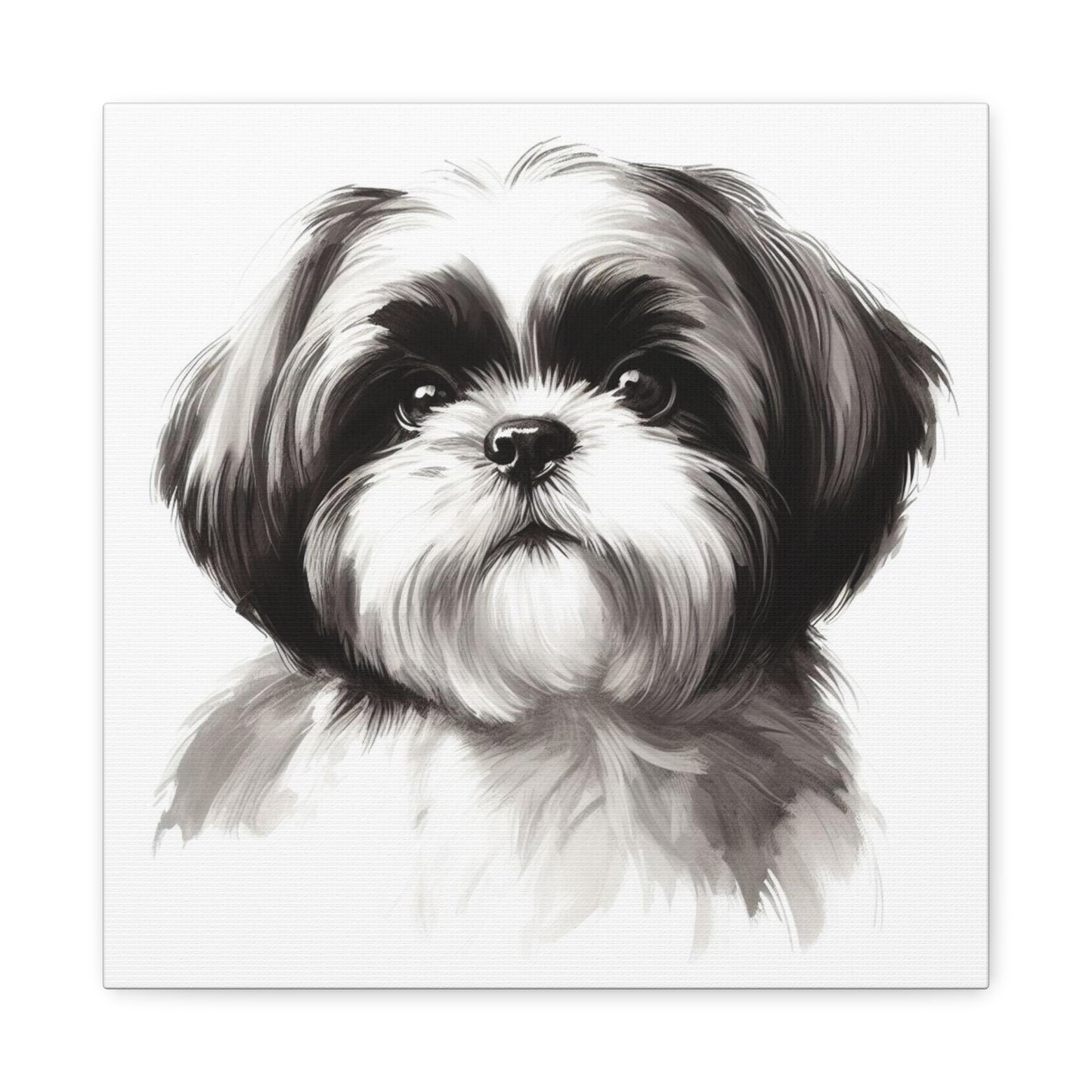 Shih tzu painting