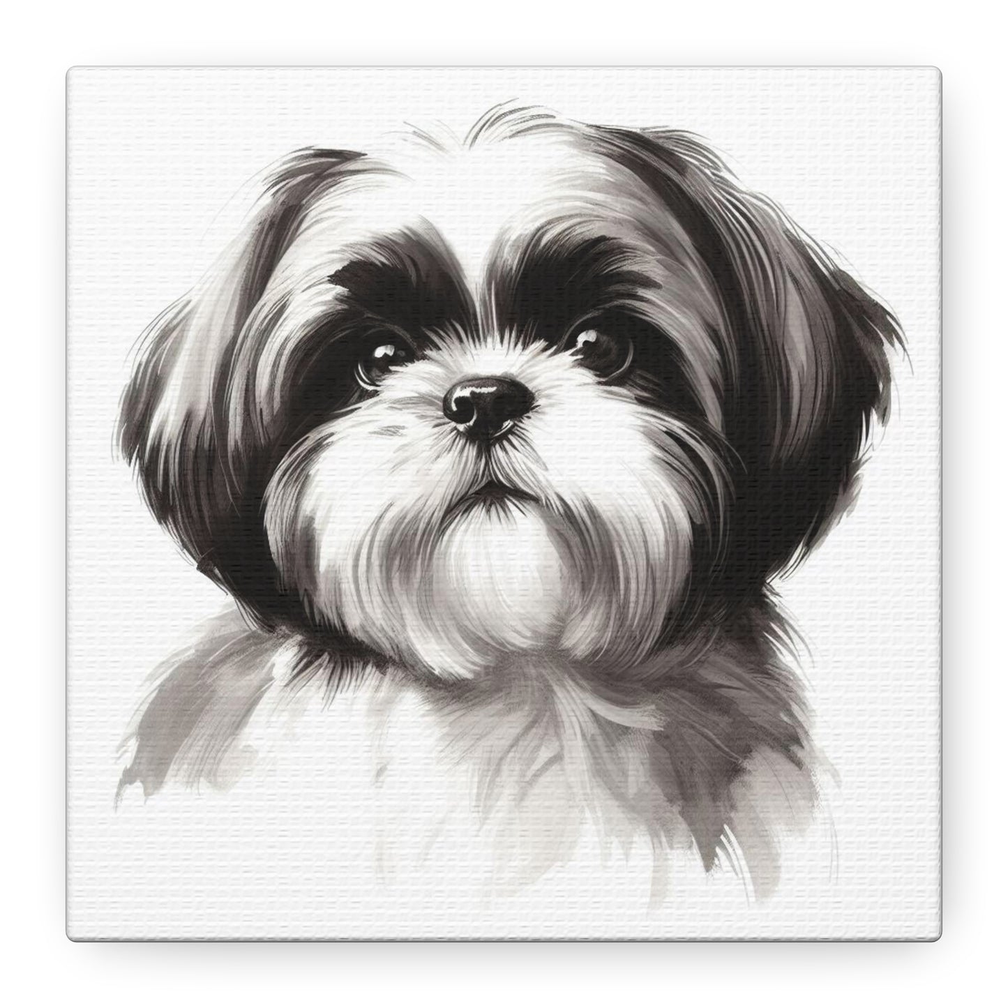 Shih tzu painting