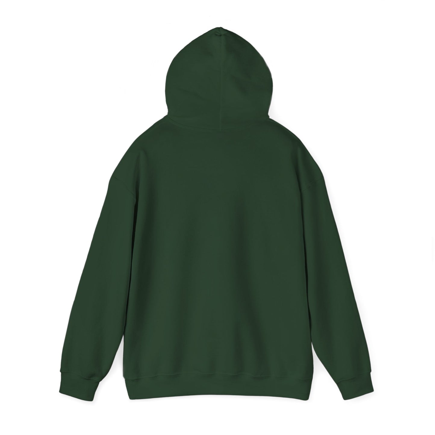 Raccoon Cauldron Halloween Hoodie