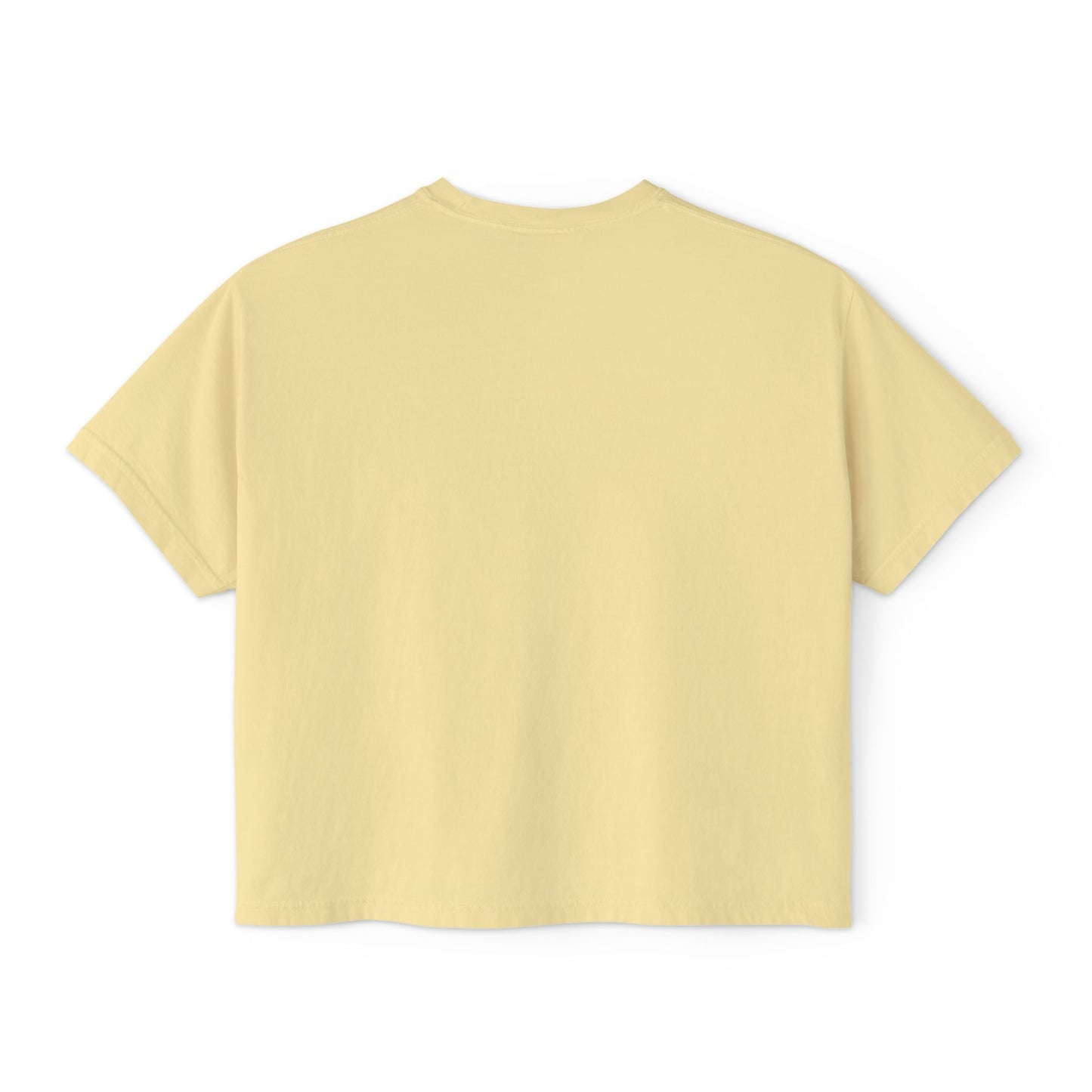 Boxy Tee - Pigeons in a Panic Shirt