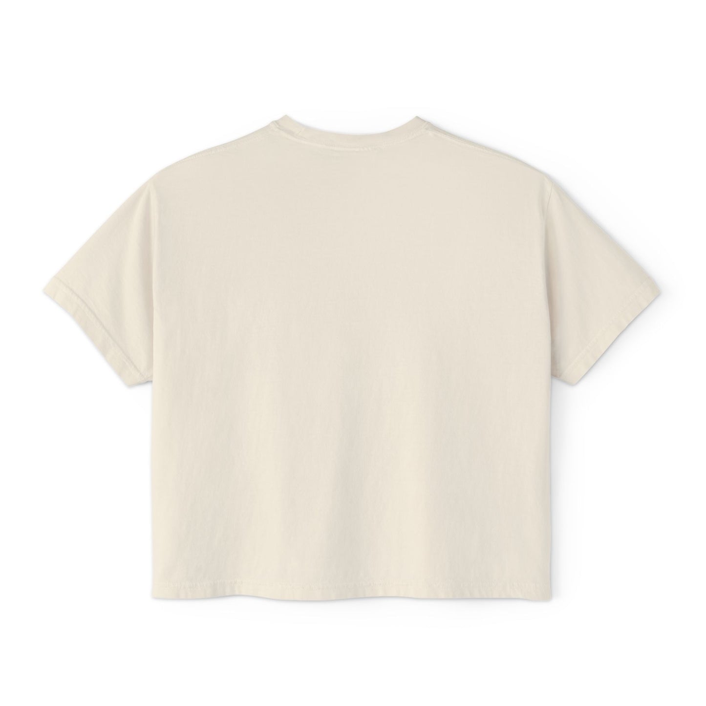 Boxy Tee - Pigeons in a Panic Shirt