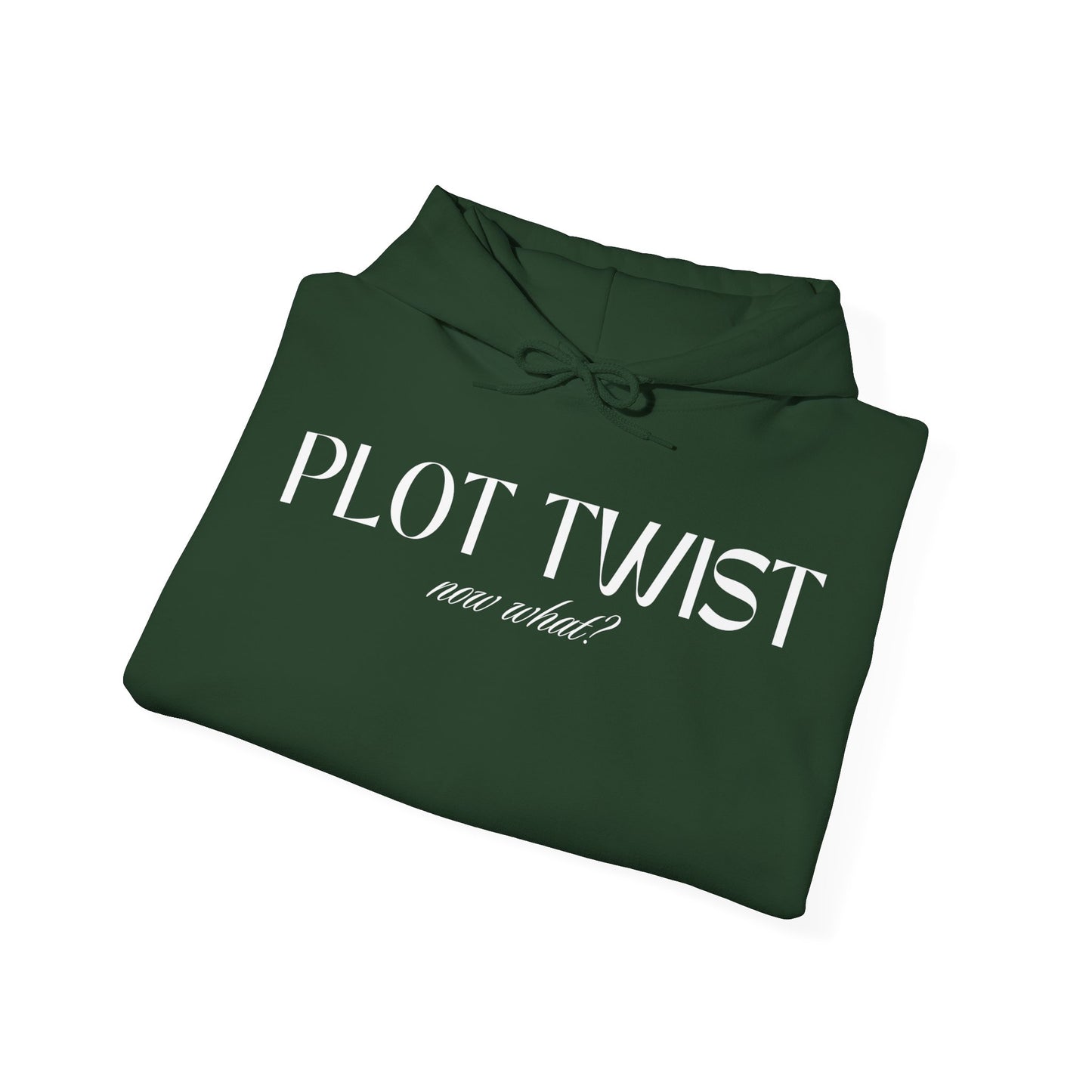 Plot twist book lover hoodie