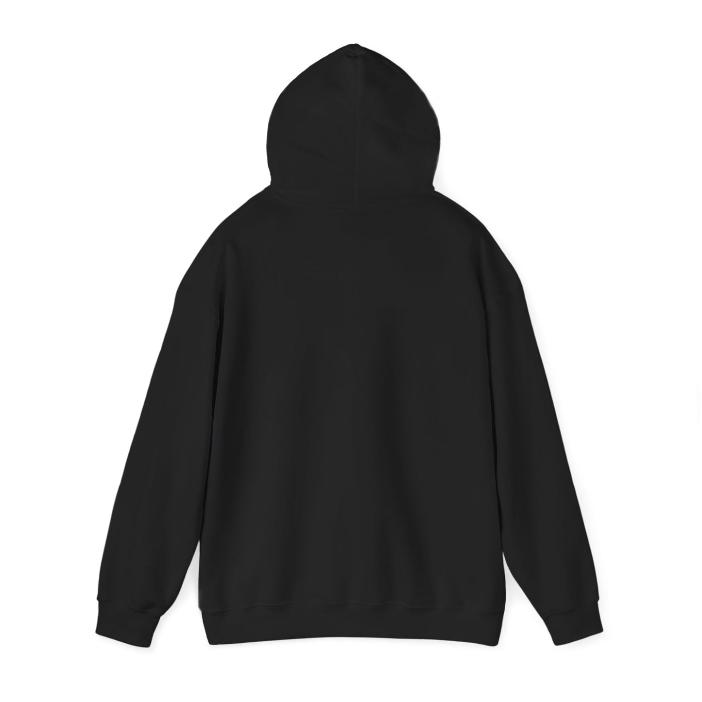 Raccoon Cauldron Halloween Hoodie