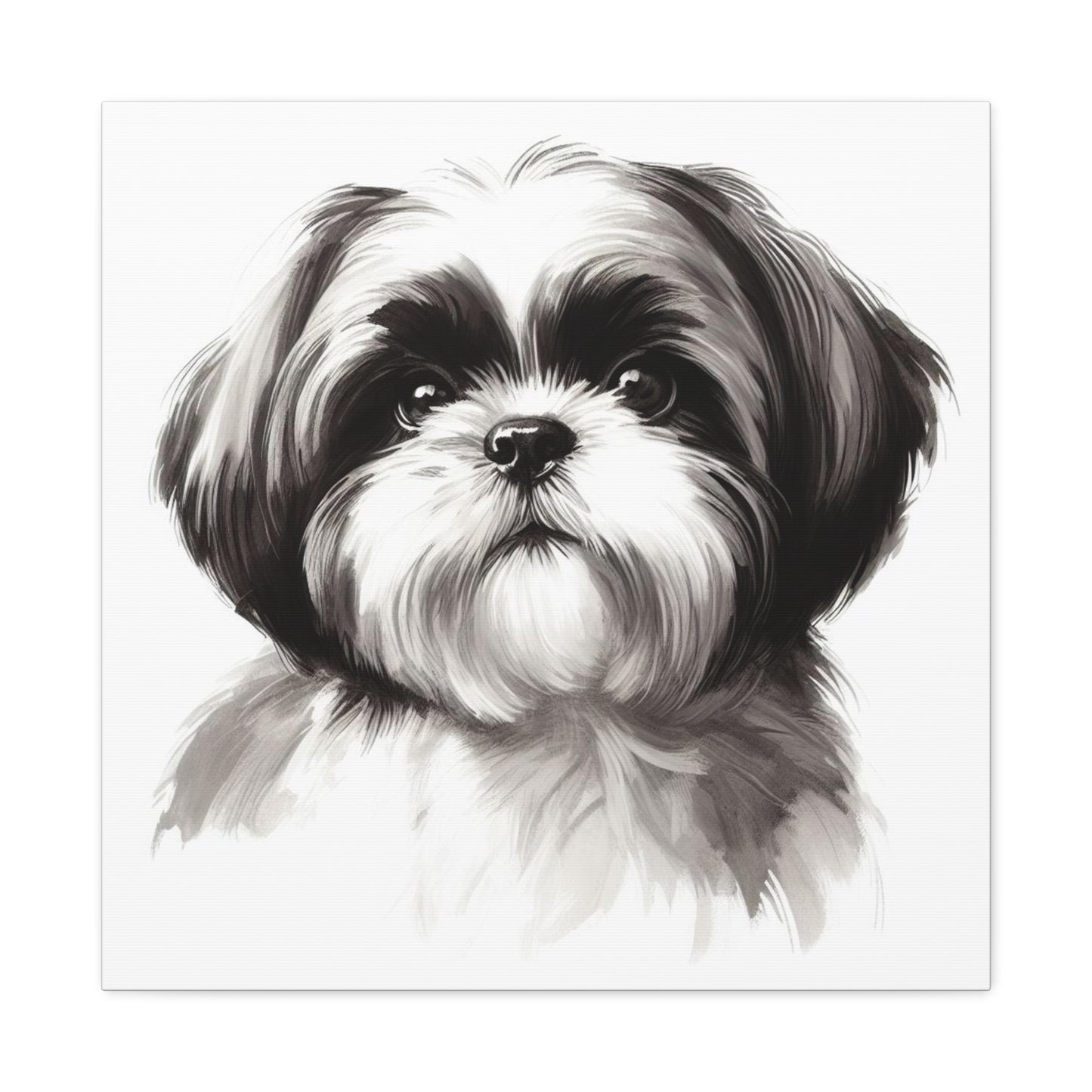 Shih tzu painting