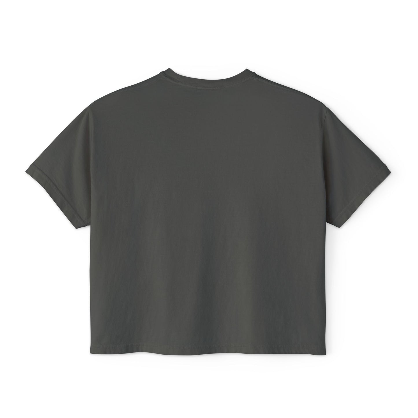 Boxy Tee - Pigeons in a Panic Shirt