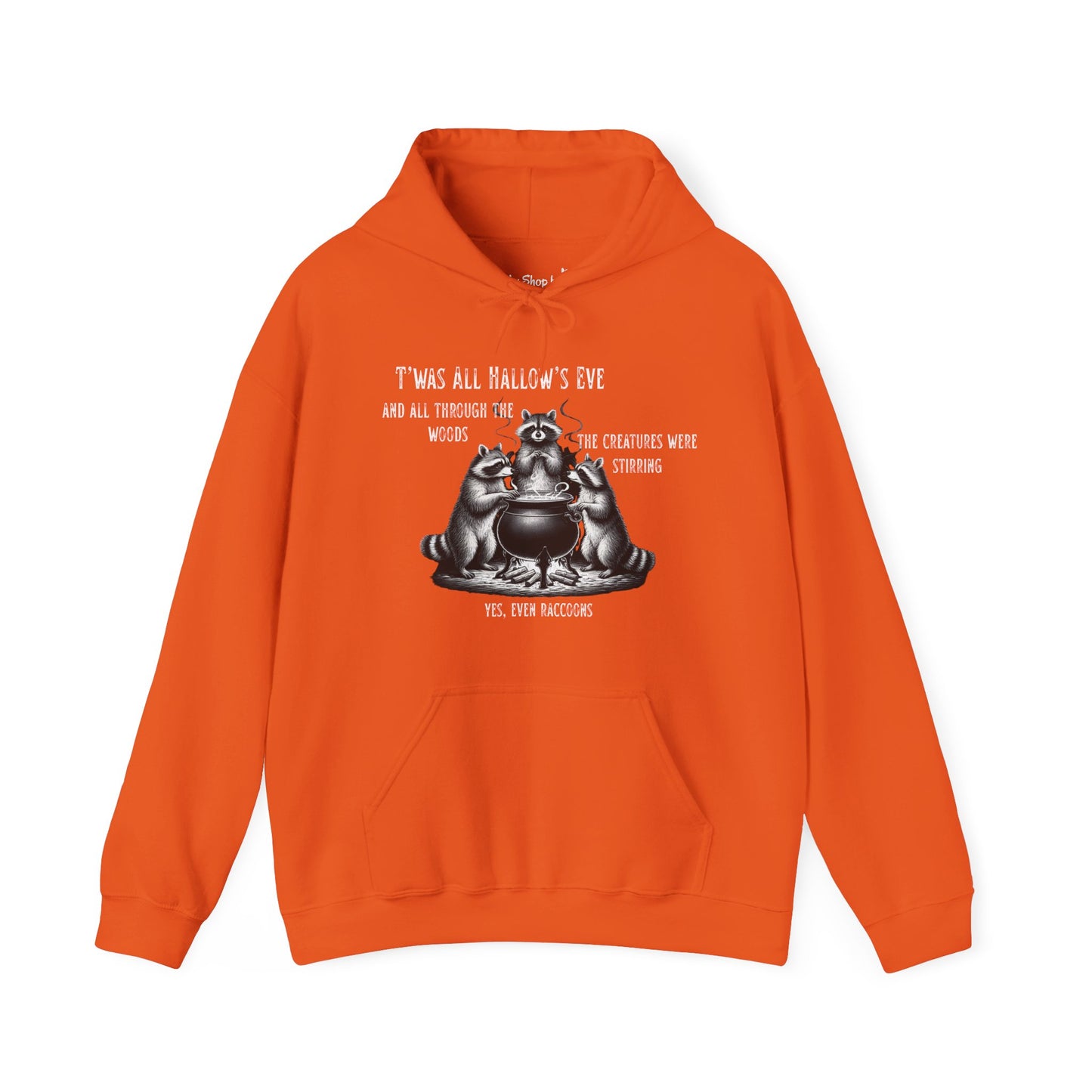 Raccoon Cauldron Halloween Hoodie