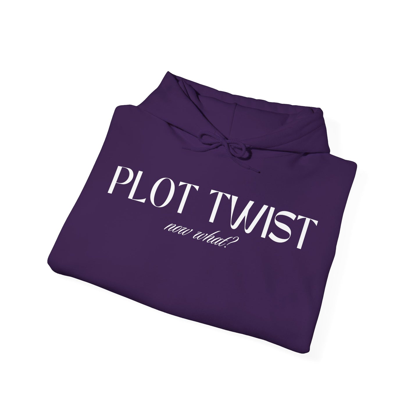 Plot twist book lover hoodie