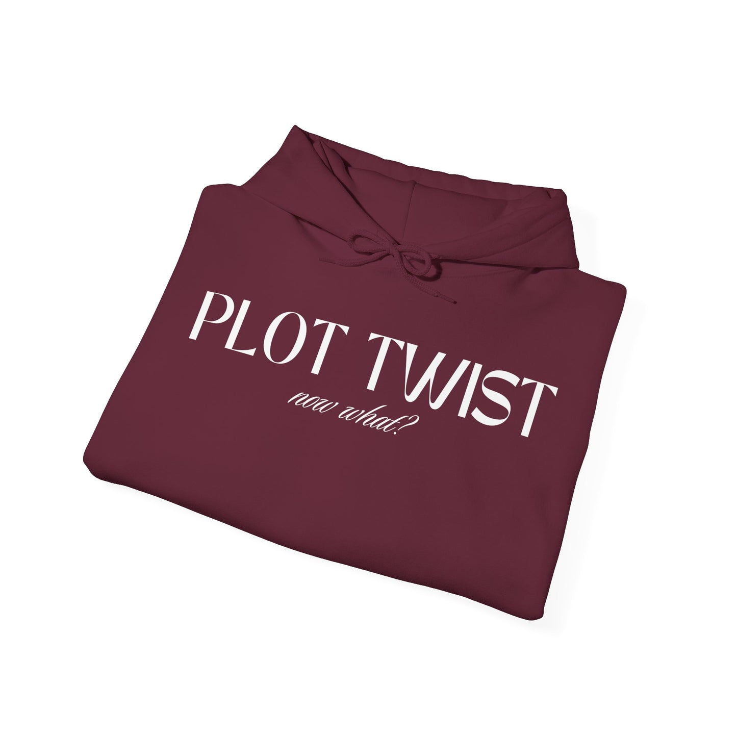 Plot twist book lover hoodie