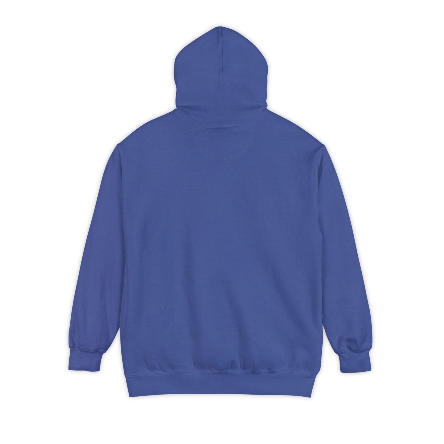 Book Club Hoodie - ComfortColors