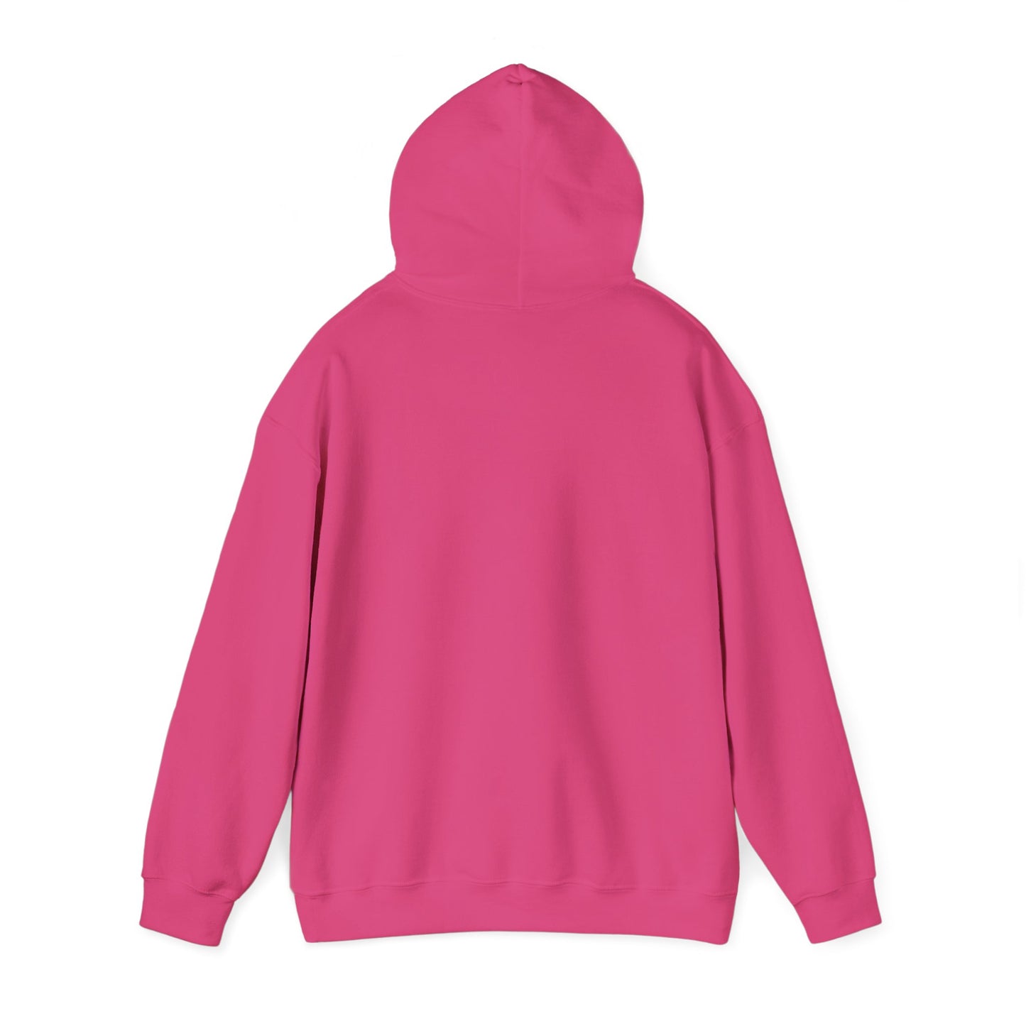 Raccoon Cauldron Halloween Hoodie