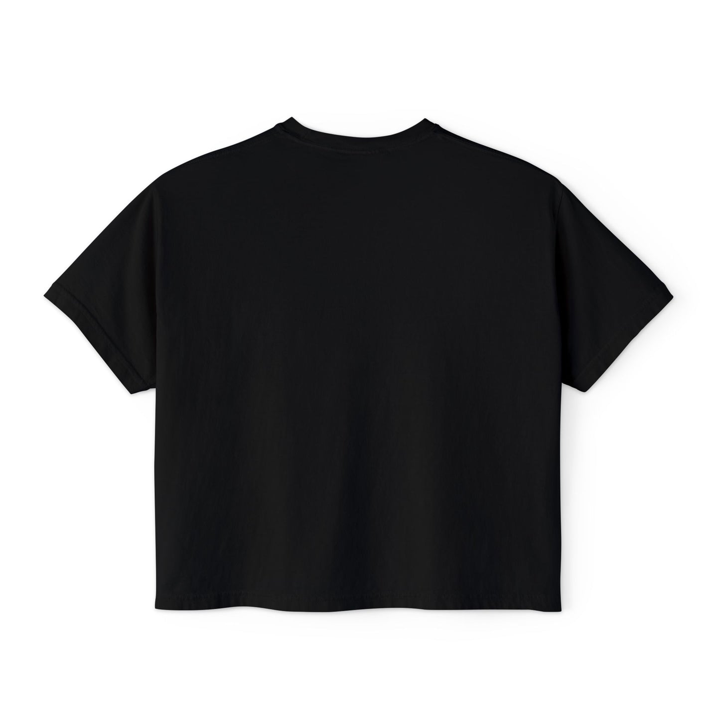 Boxy Tee - Pigeons in a Panic Shirt