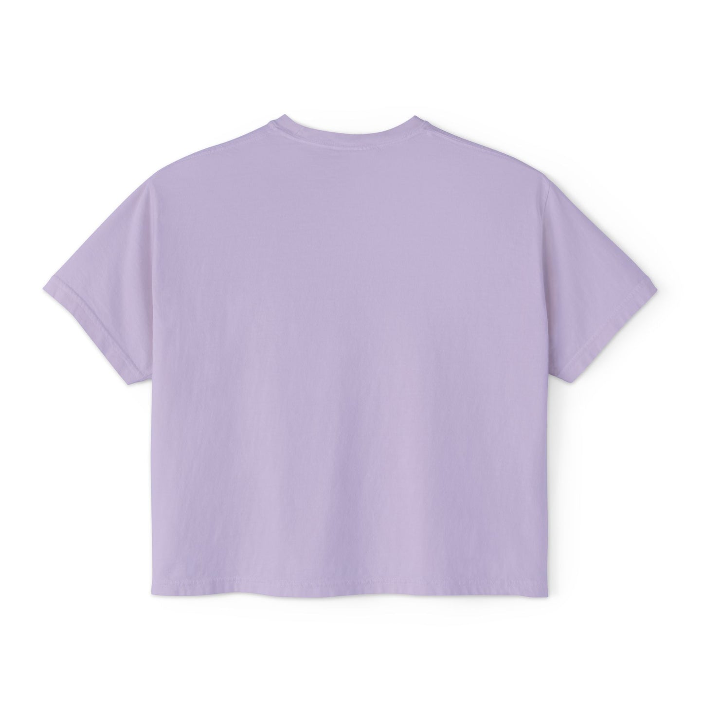 Boxy Tee - Pigeons in a Panic Shirt