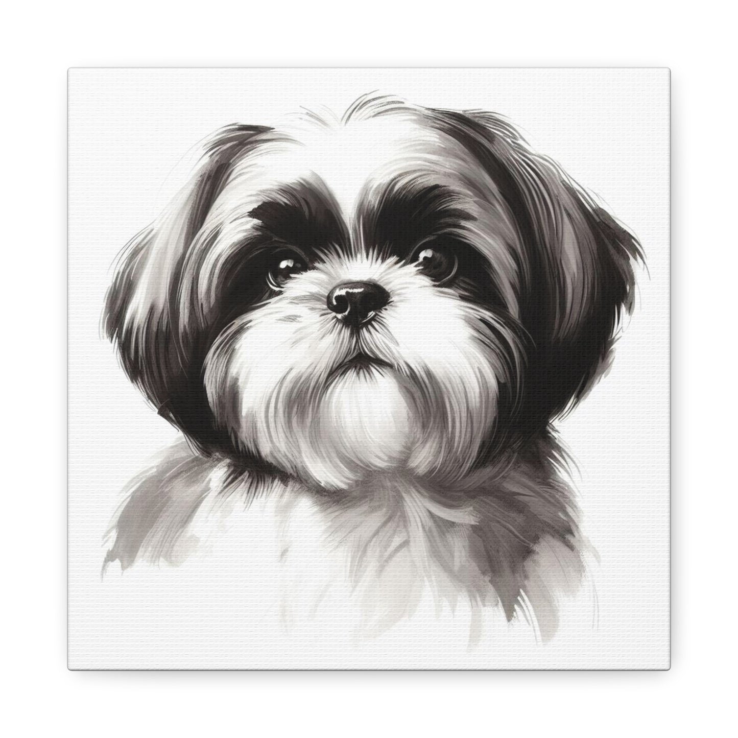 Shih tzu painting