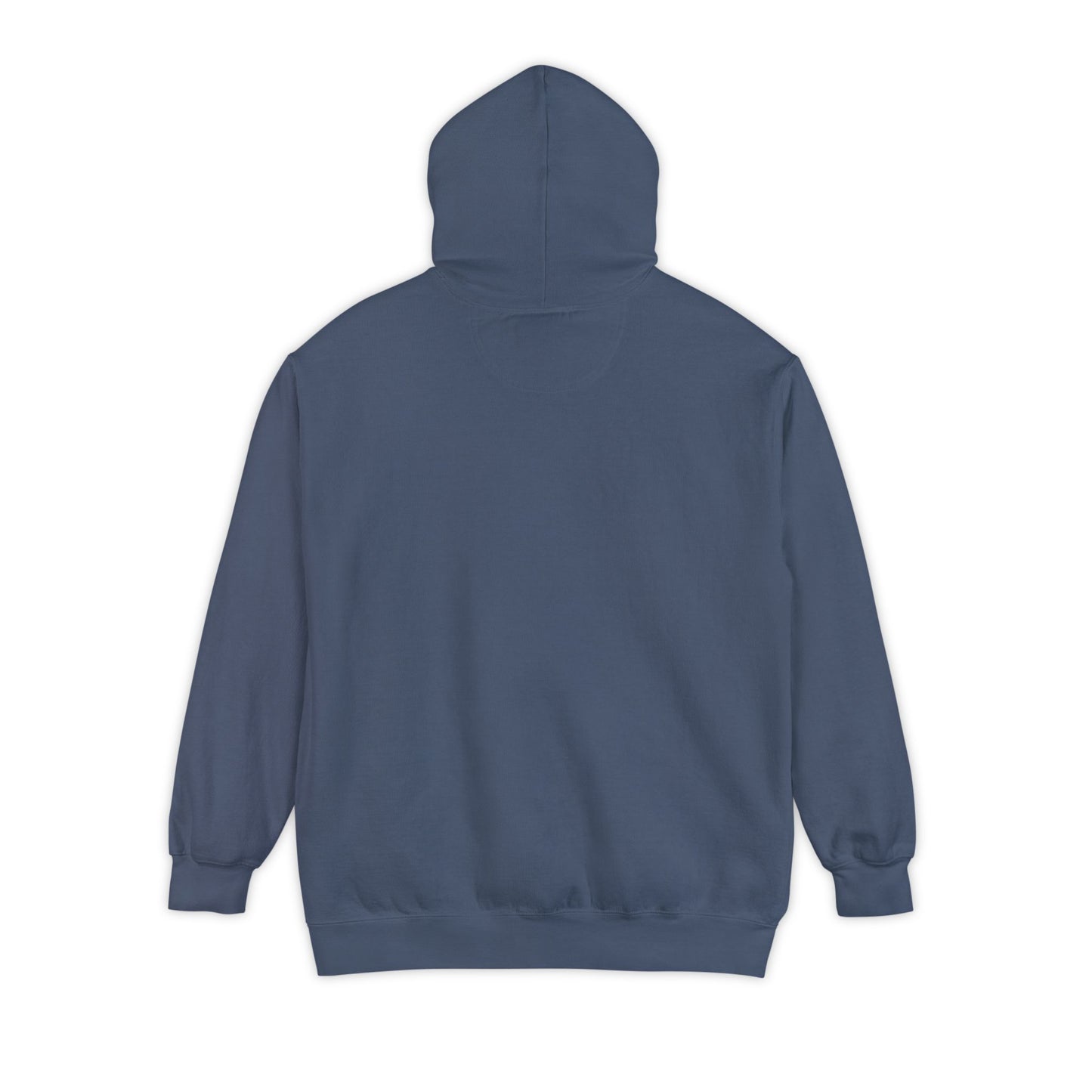 Book Club Hoodie - ComfortColors