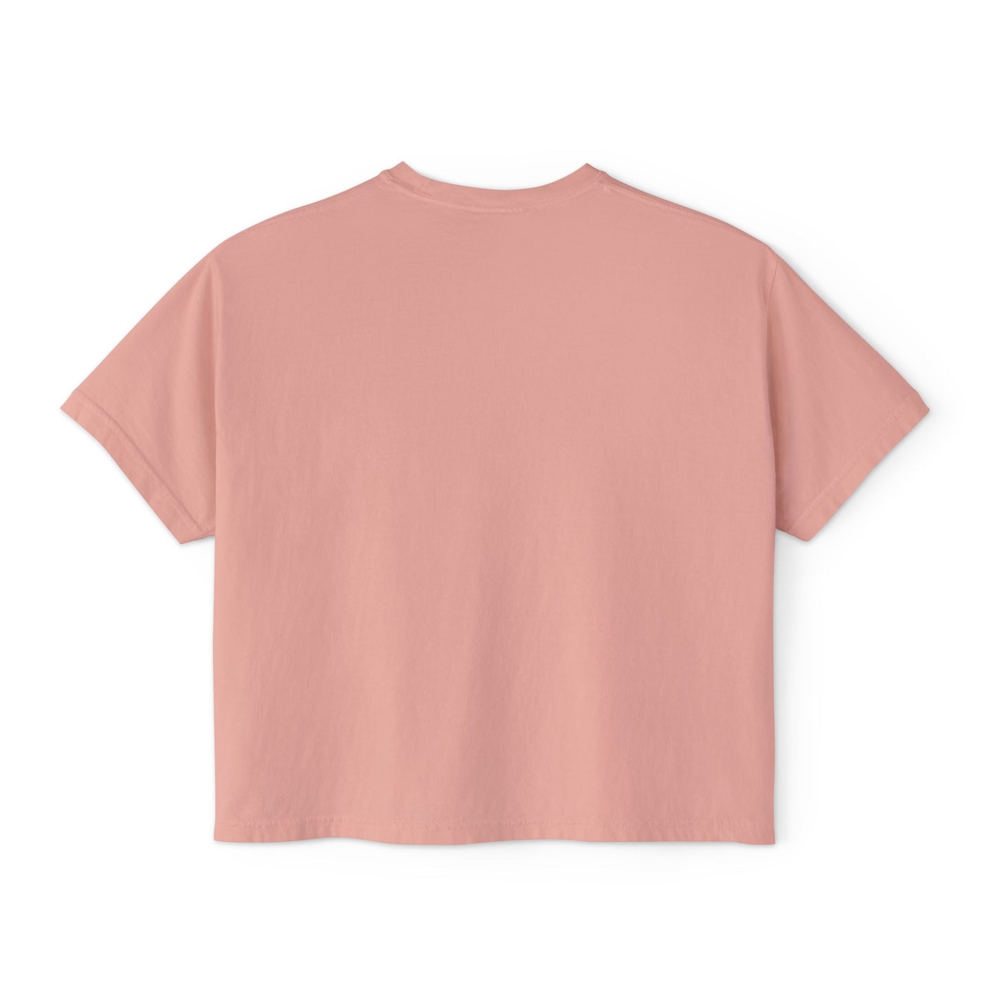 Boxy Tee - Pigeons in a Panic Shirt