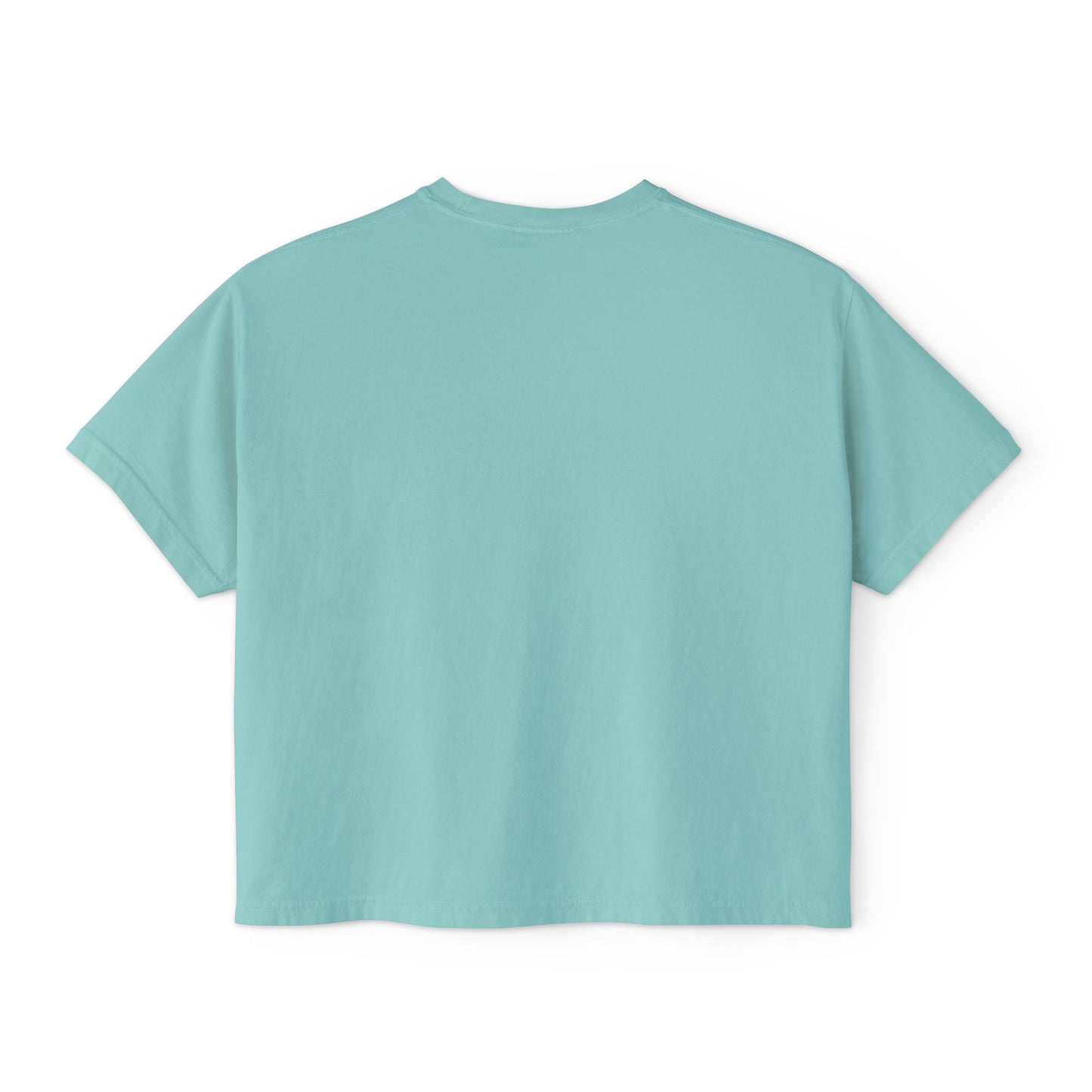 Boxy Tee - Pigeons in a Panic Shirt