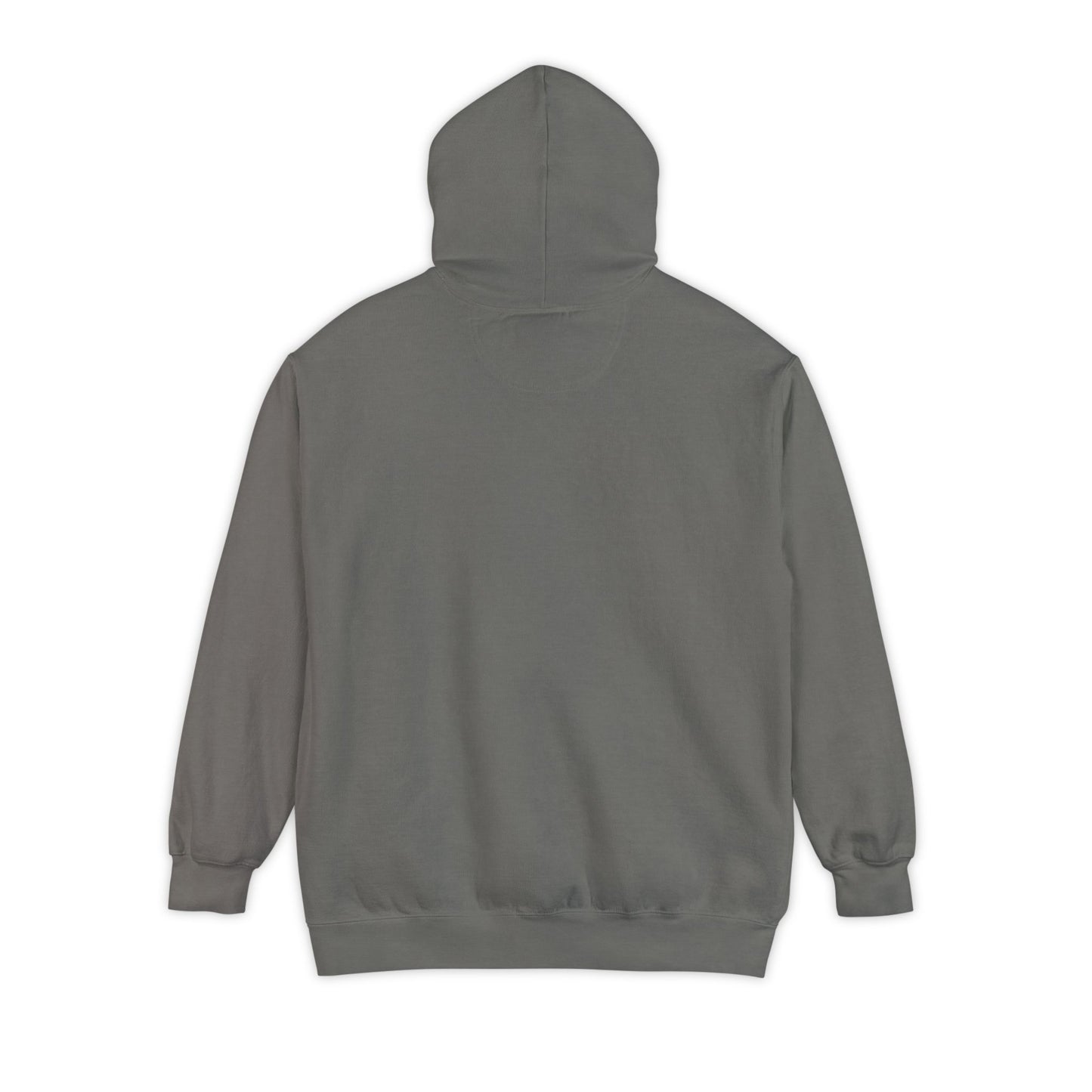 Book Club Hoodie - ComfortColors