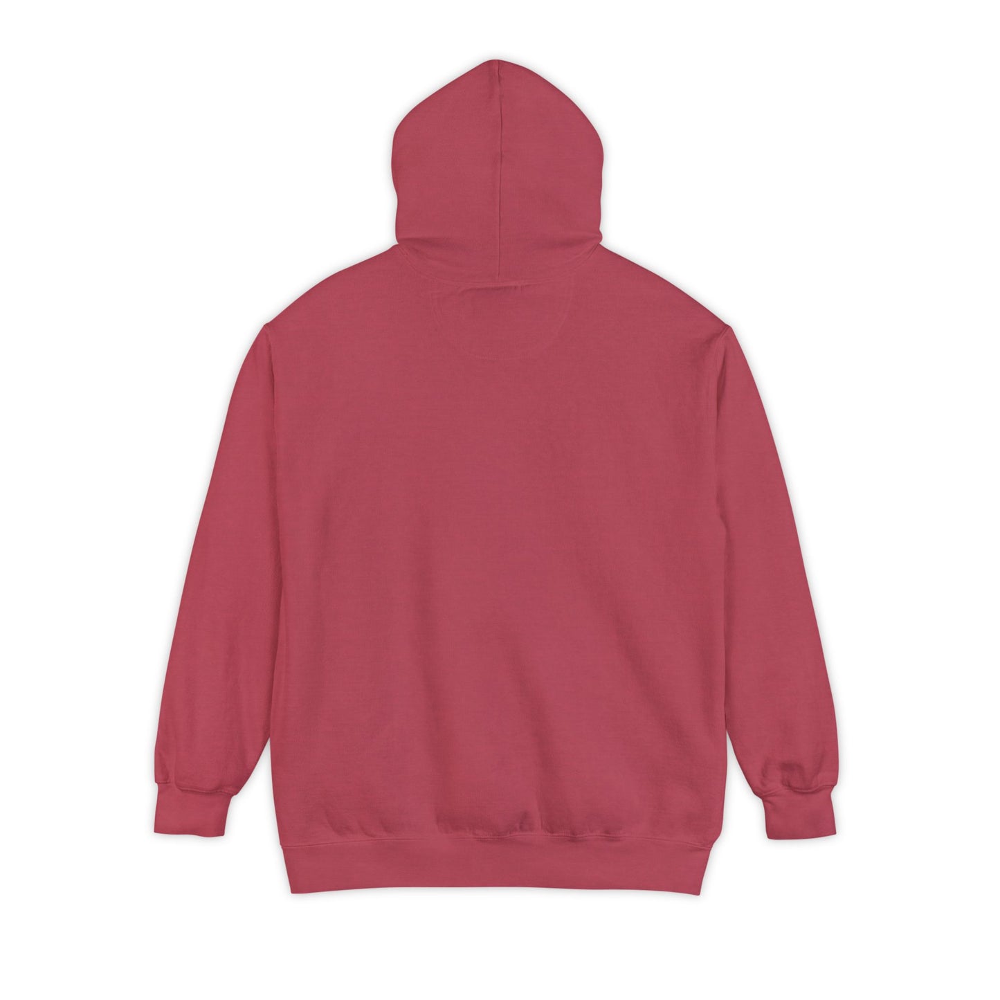 Book Club Hoodie - ComfortColors