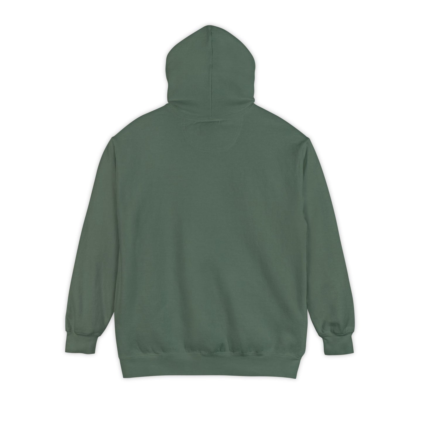 Book Club Hoodie - ComfortColors
