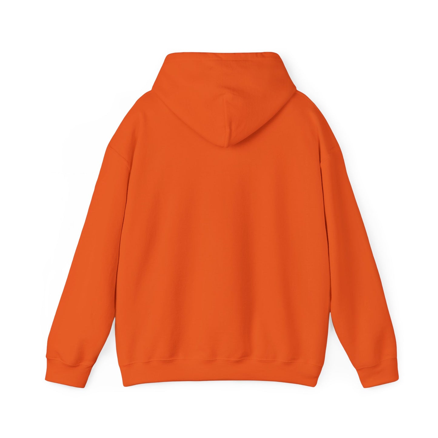 Raccoon Cauldron Halloween Hoodie