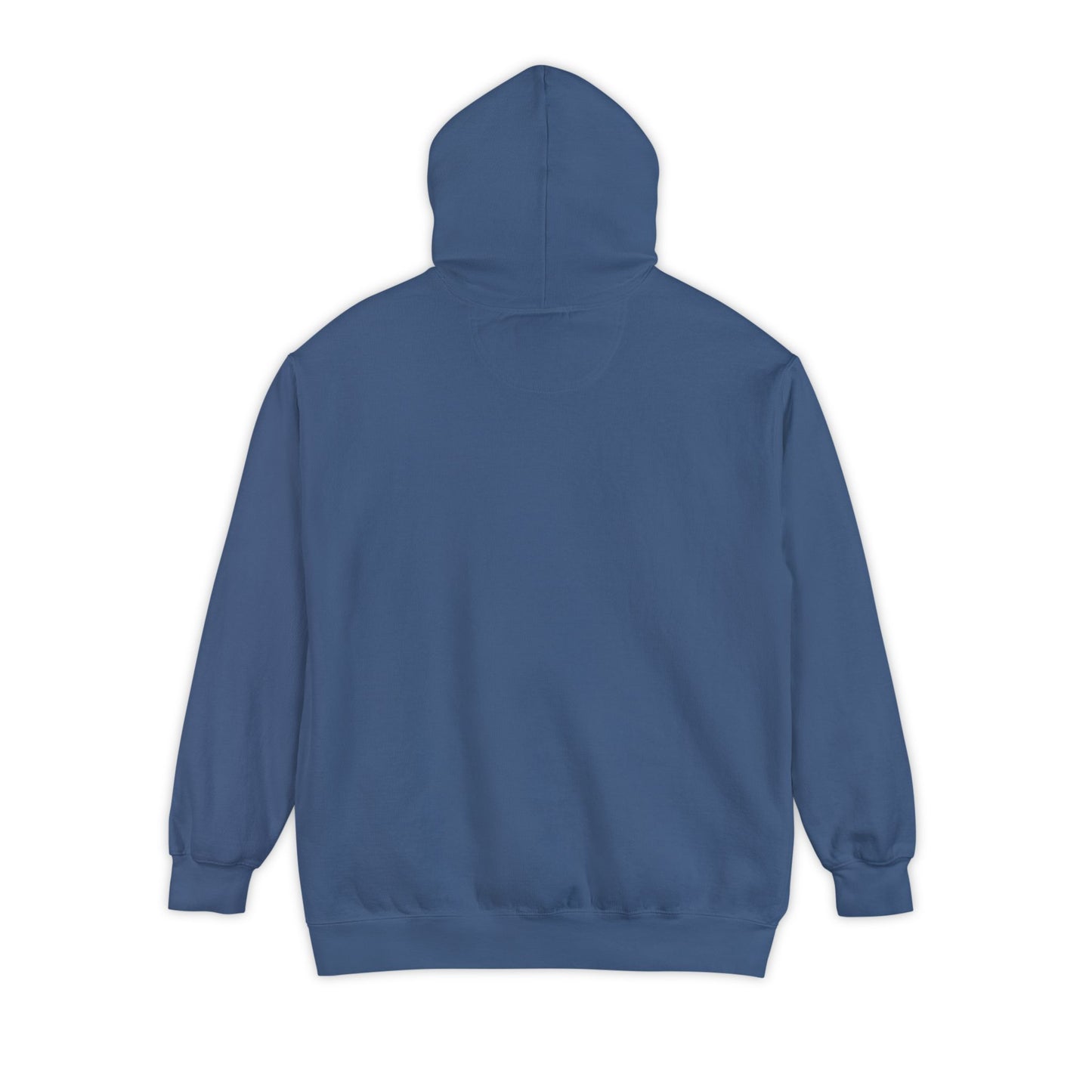 Book Club Hoodie - ComfortColors