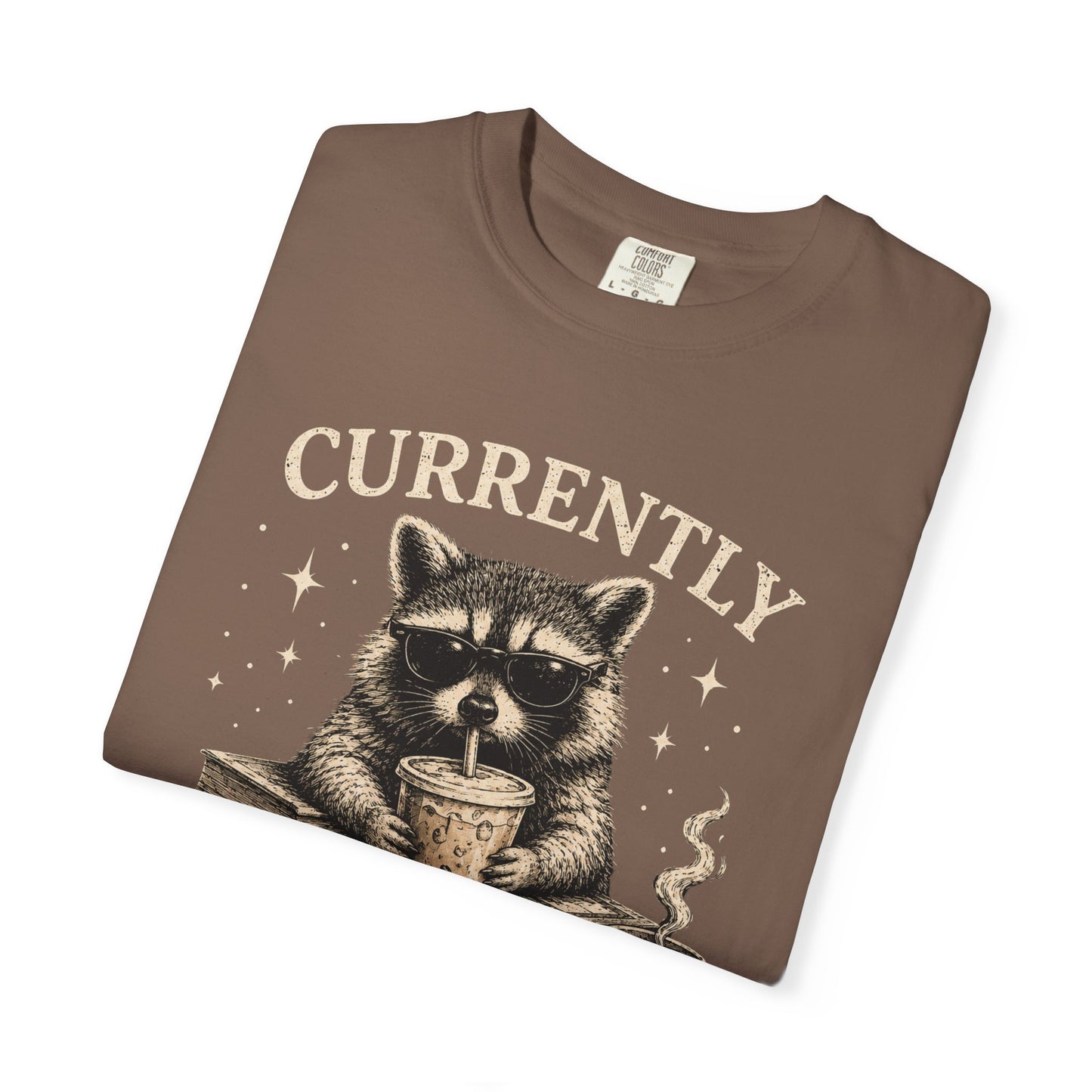 Bookish Raccoon Tee