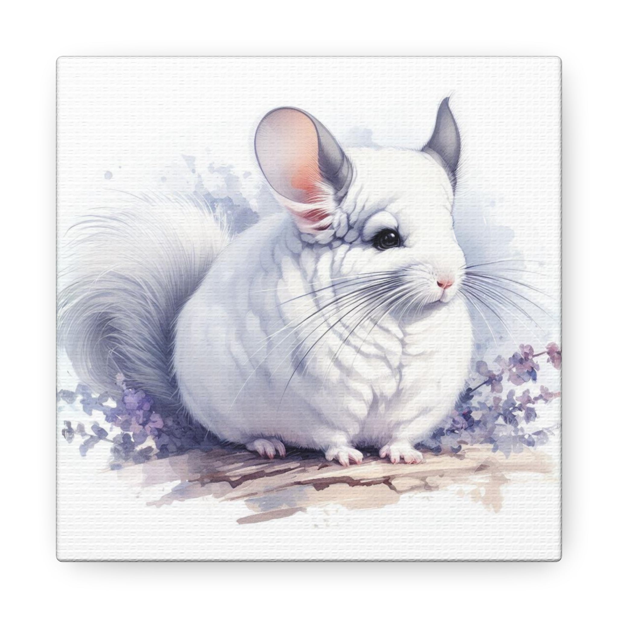 Chinchilla painting sale