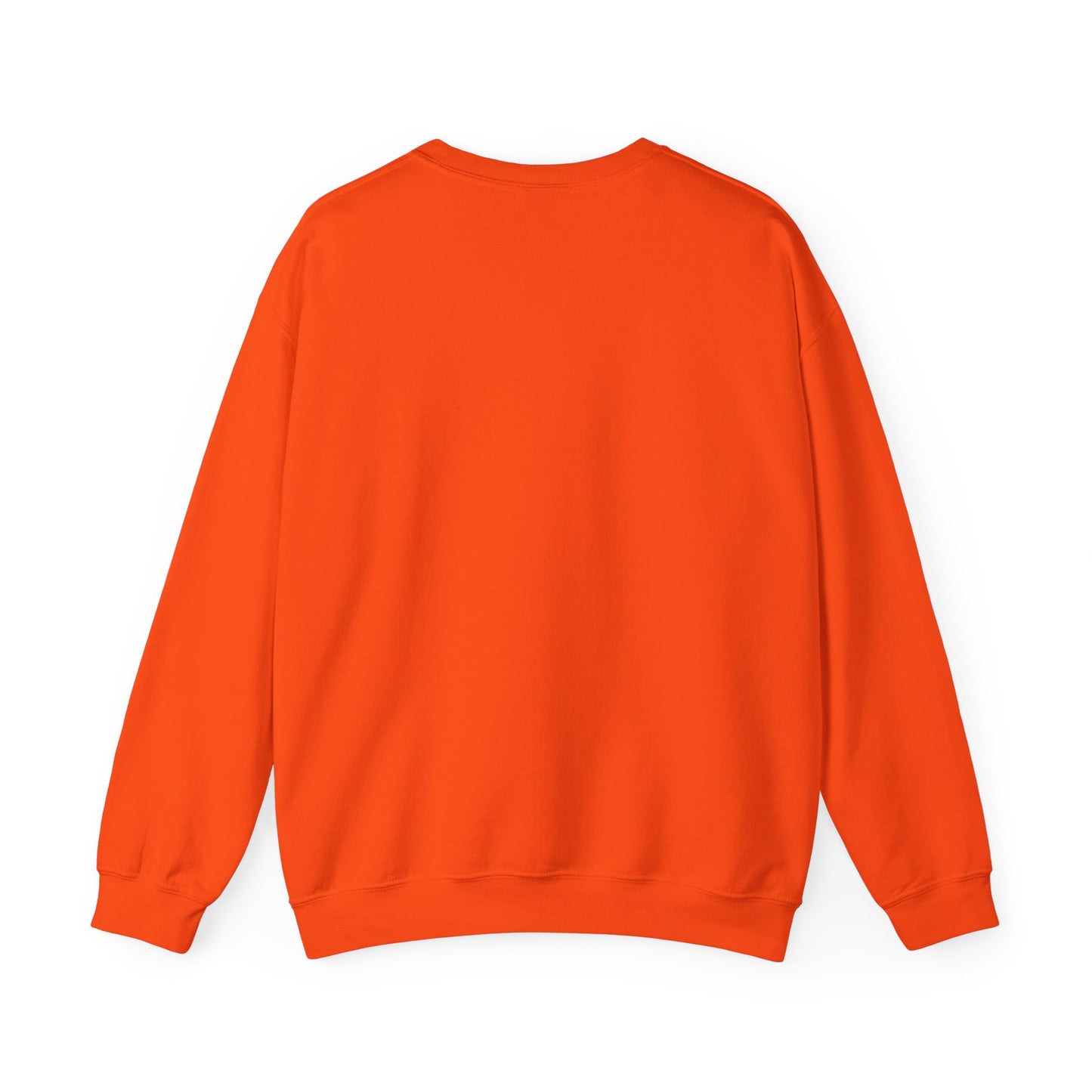 Raccoon Cauldron Halloween Sweatshirt