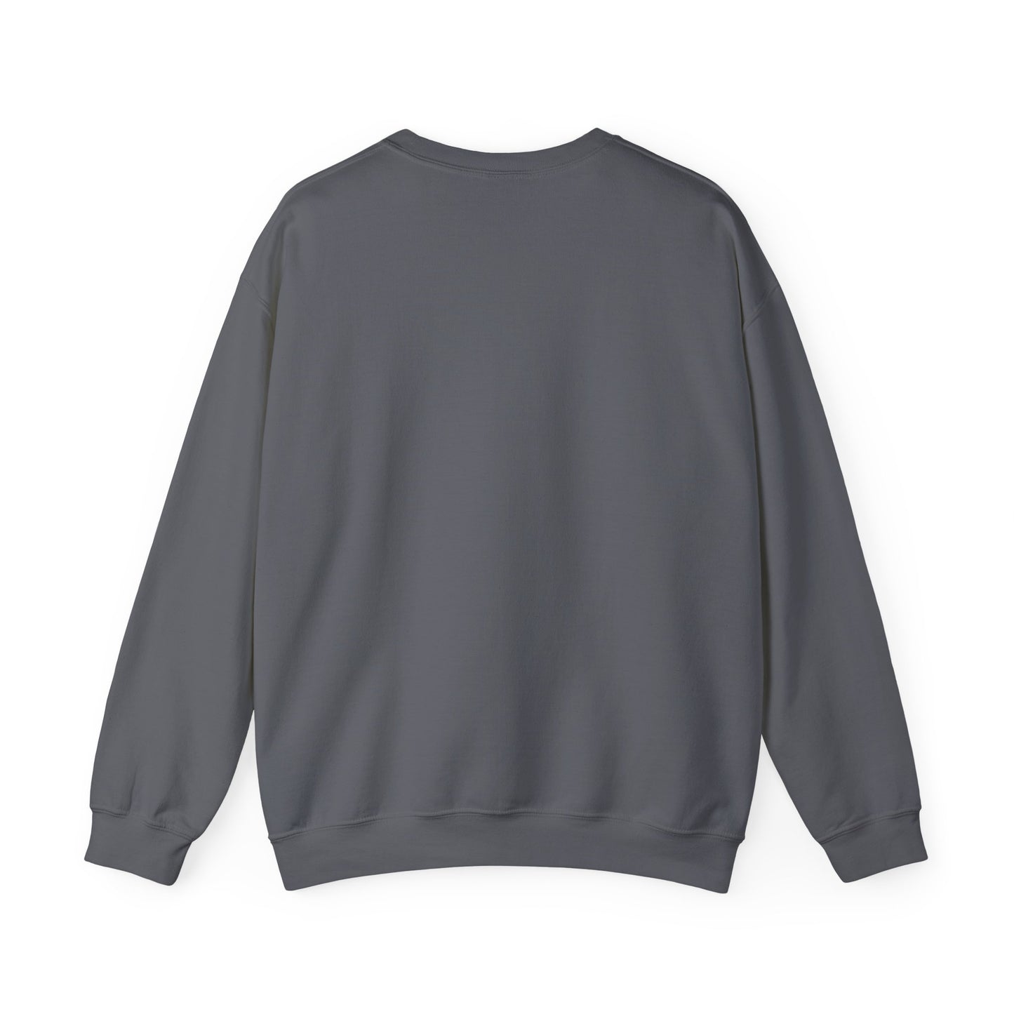 Raccoon Cauldron Halloween Sweatshirt