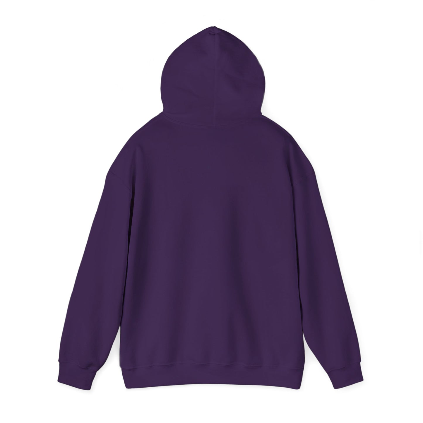 Raccoon Cauldron Halloween Hoodie