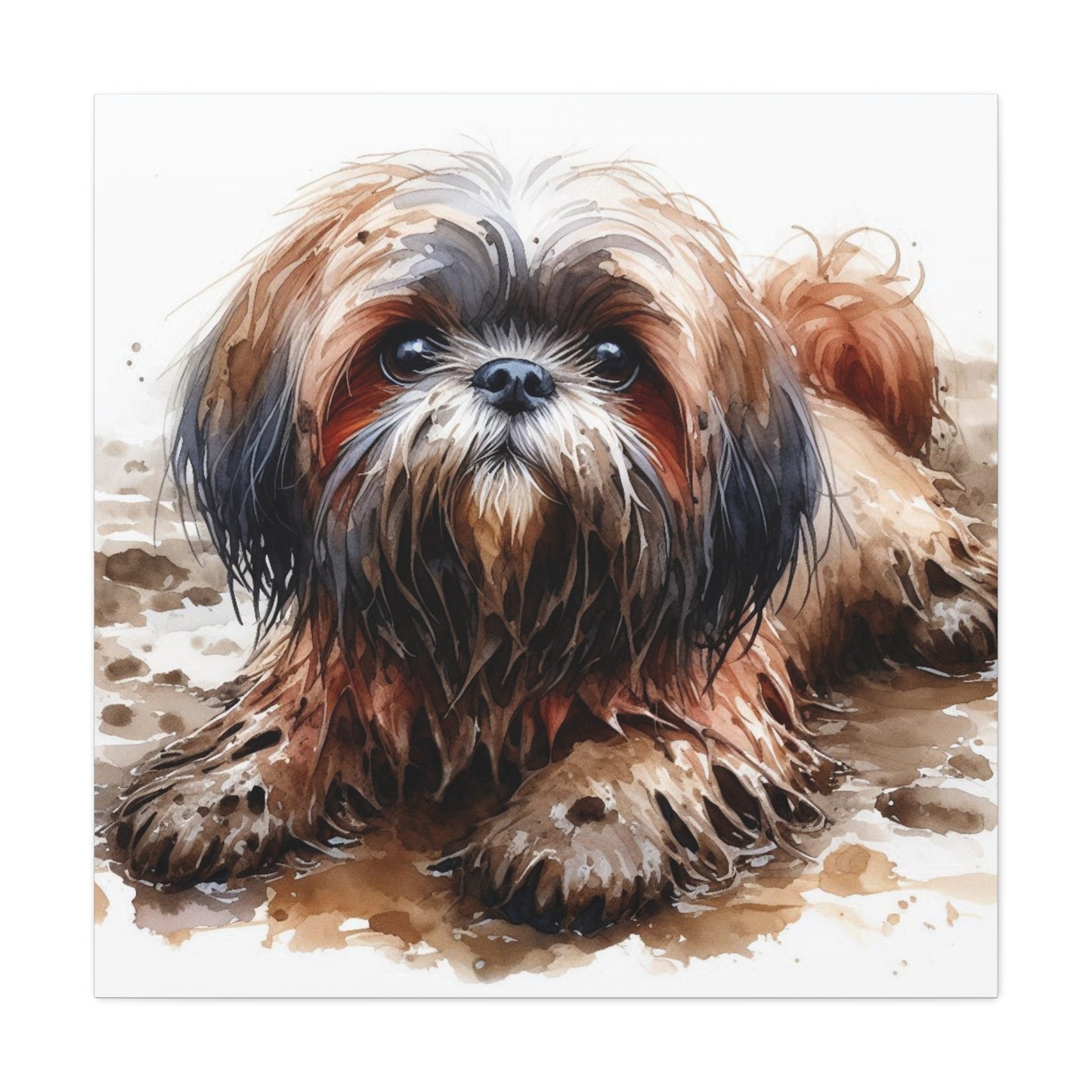 Canvas Print - Muddy Shih Tzu Watercolor Print