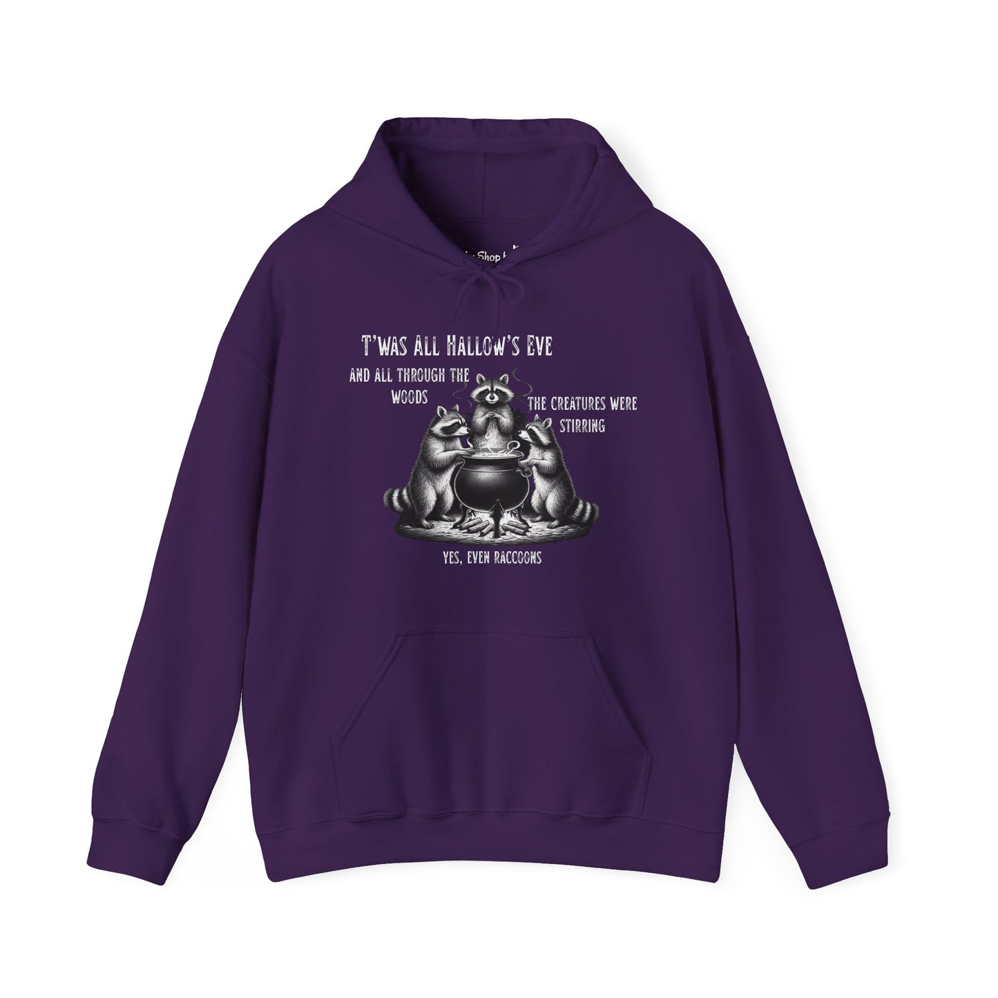 Raccoon Cauldron Halloween Hoodie