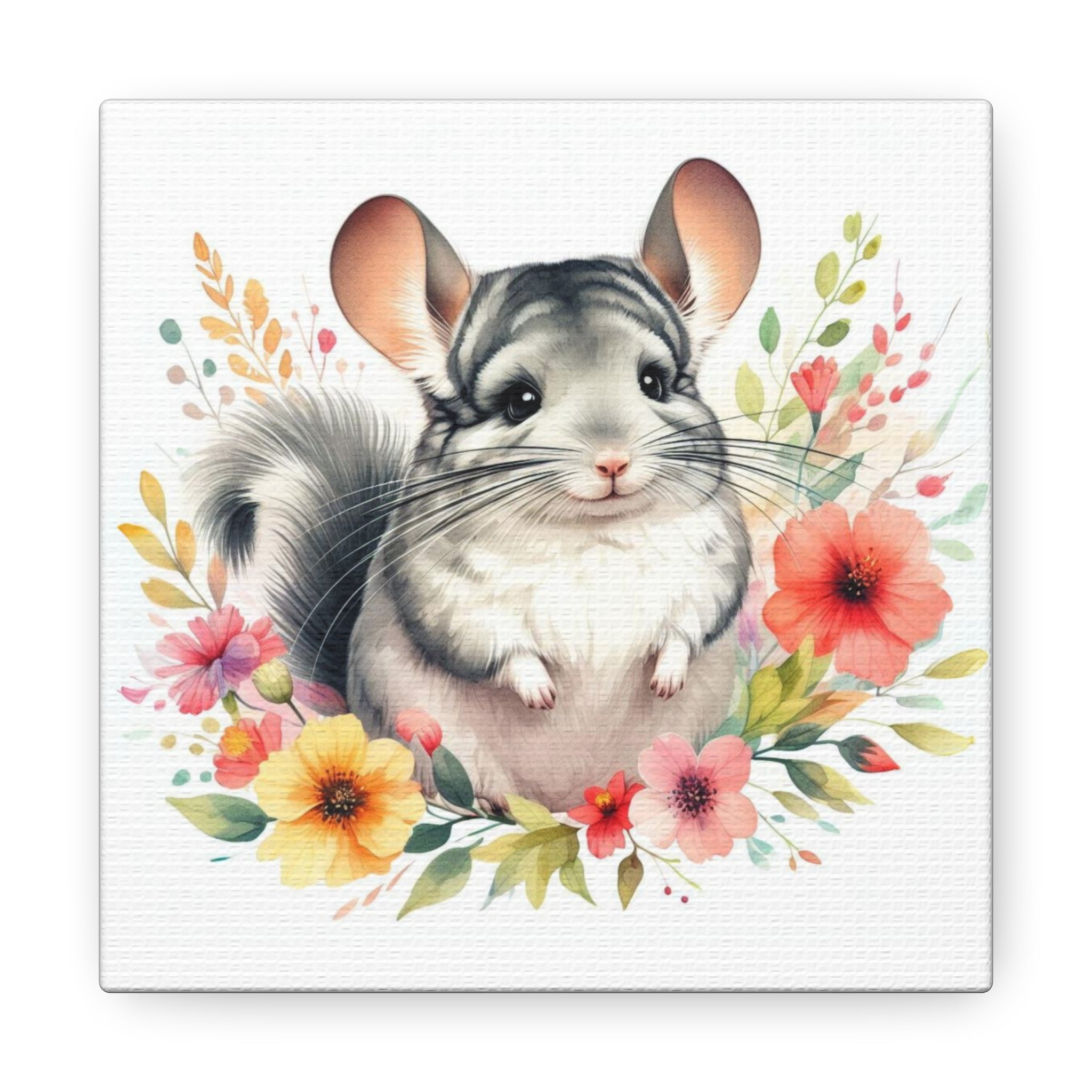 Chinchilla painting hot sale