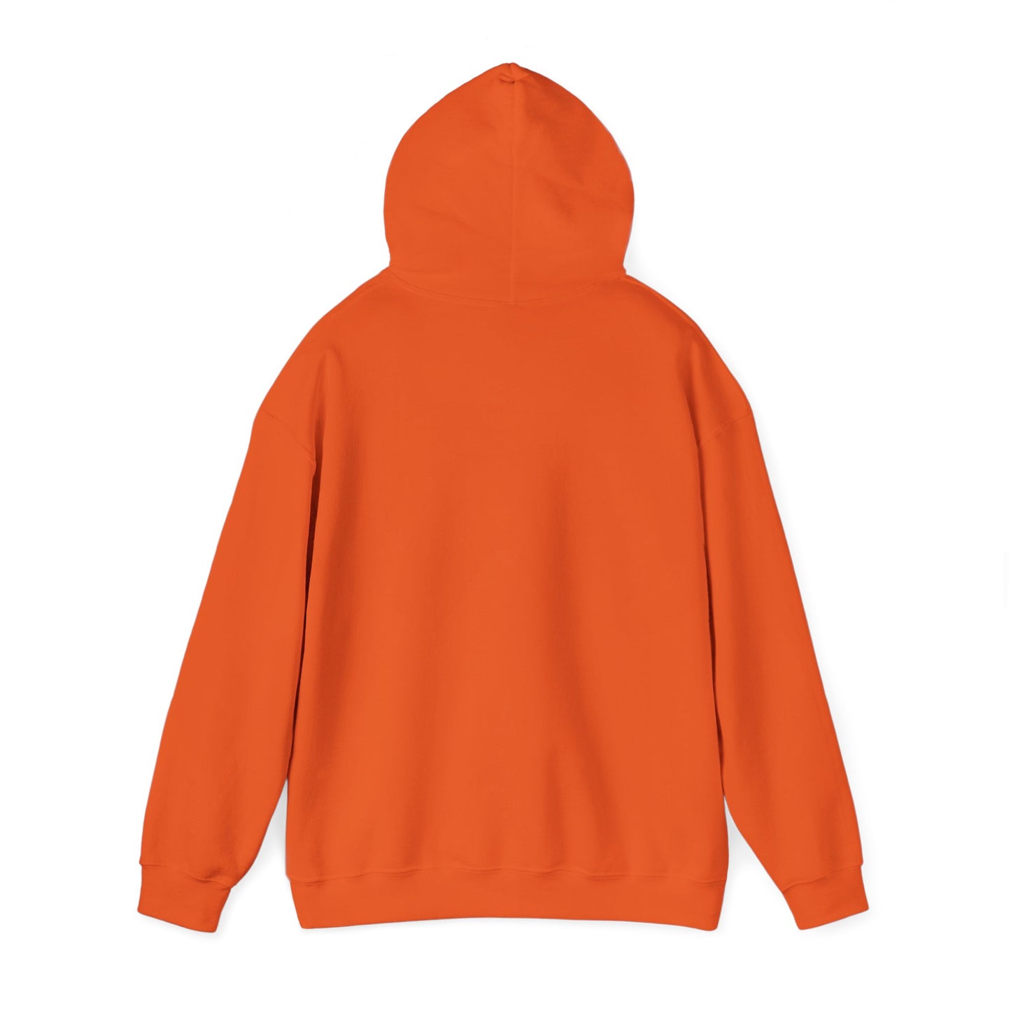 Raccoon Cauldron Halloween Hoodie