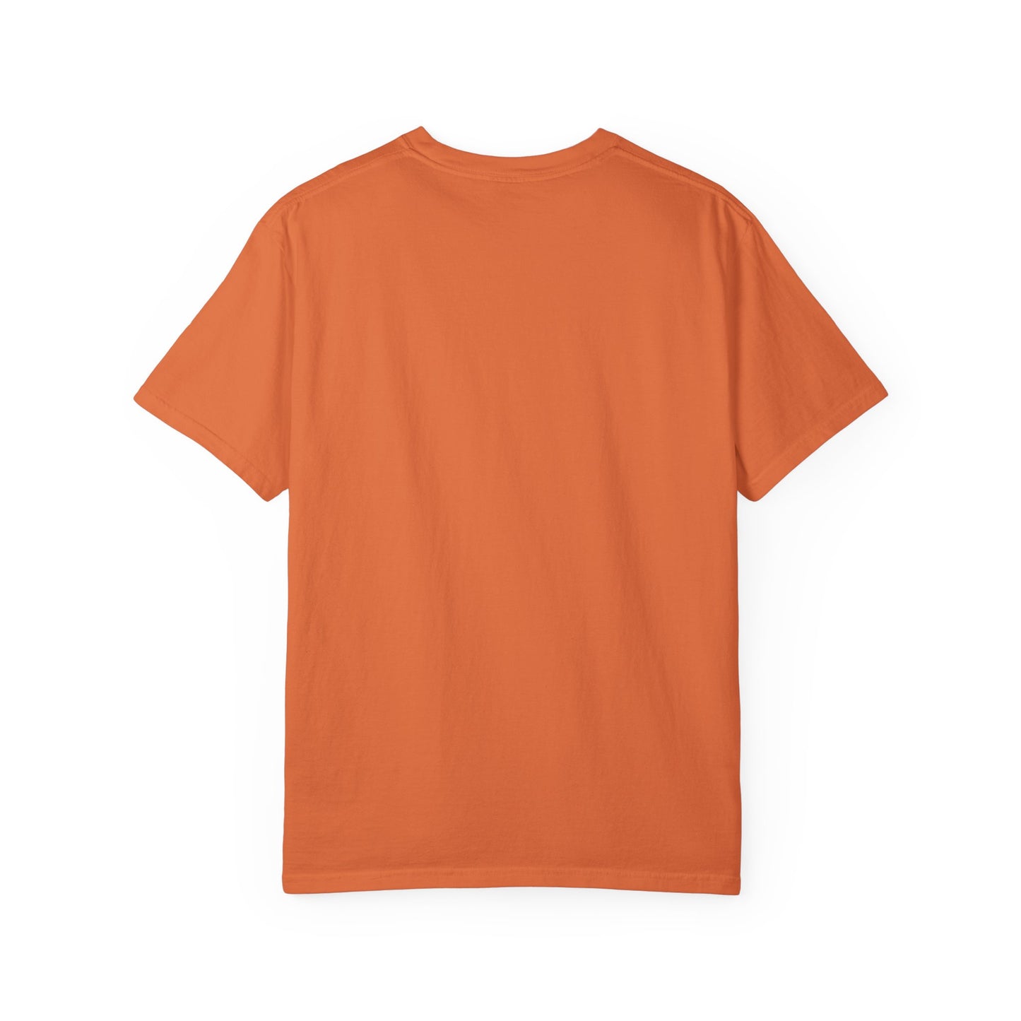Raccoon Halloween Unisex T-shirt