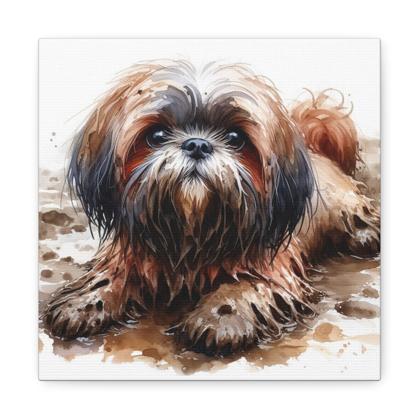 Canvas Print - Muddy Shih Tzu Watercolor Print