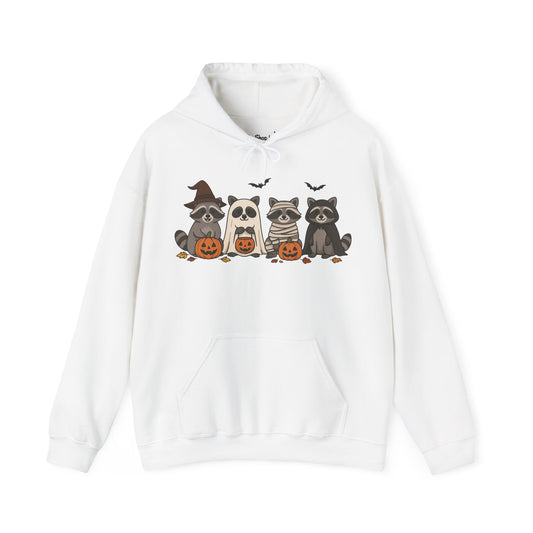 Halloween Raccoon Hoodie